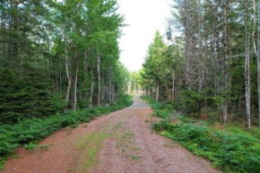 Whispering Pines